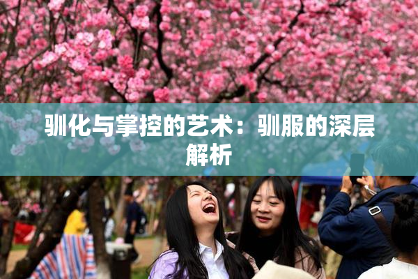 驯化与掌控的艺术：驯服的深层解析