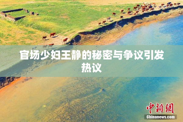 官场少妇王静的秘密与争议引发热议
