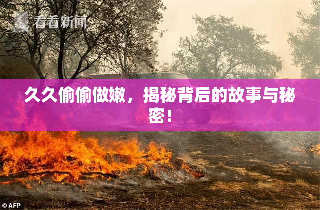 久久偷偷做嫩，揭秘背后的故事与秘密！