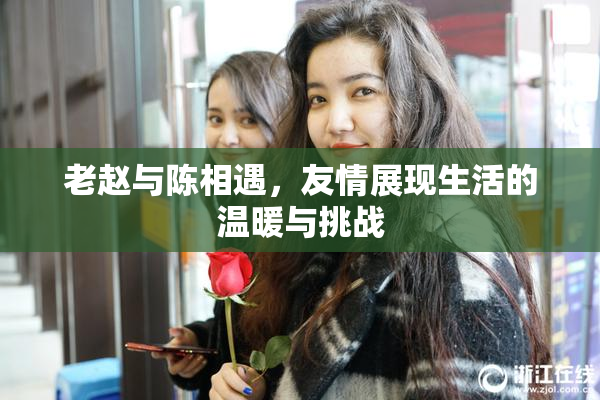 老赵与陈相遇，友情展现生活的温暖与挑战