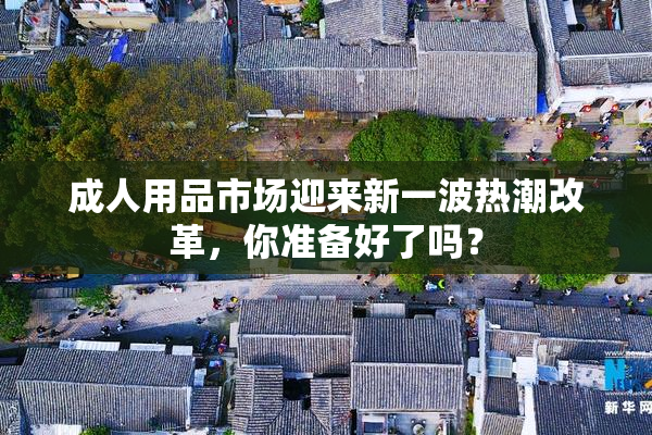 成人用品市场迎来新一波热潮改革，你准备好了吗？