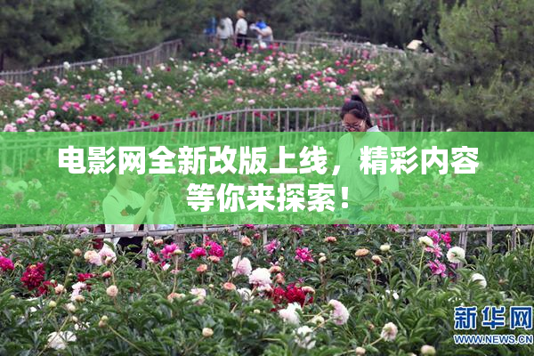 电影网全新改版上线，精彩内容等你来探索！