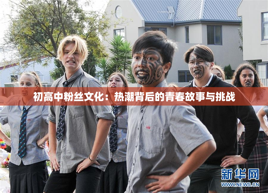 初高中粉丝文化：热潮背后的青春故事与挑战