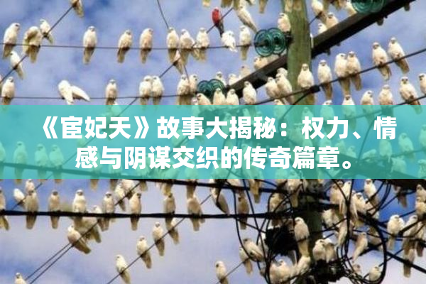 《宦妃天》故事大揭秘：权力、情感与阴谋交织的传奇篇章。
