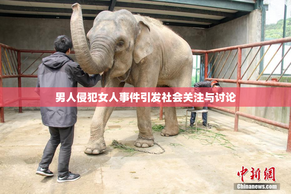 男人侵犯女人事件引发社会关注与讨论