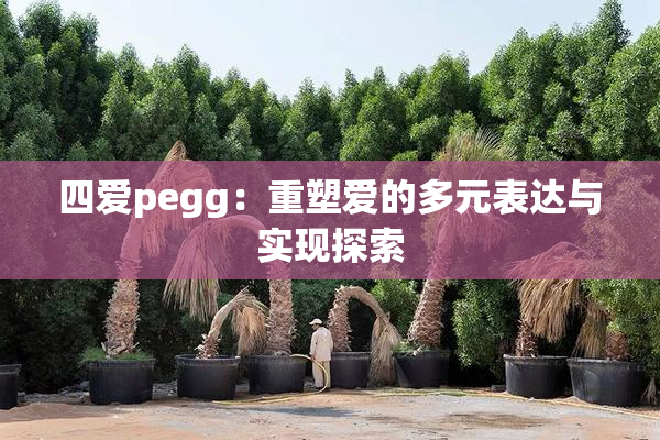四爱pegg：重塑爱的多元表达与实现探索