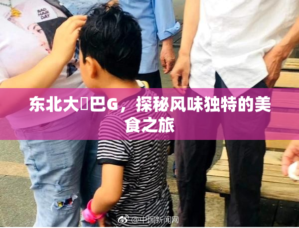 东北大鷄巴G，探秘风味独特的美食之旅