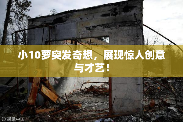 小10萝突发奇想，展现惊人创意与才艺！
