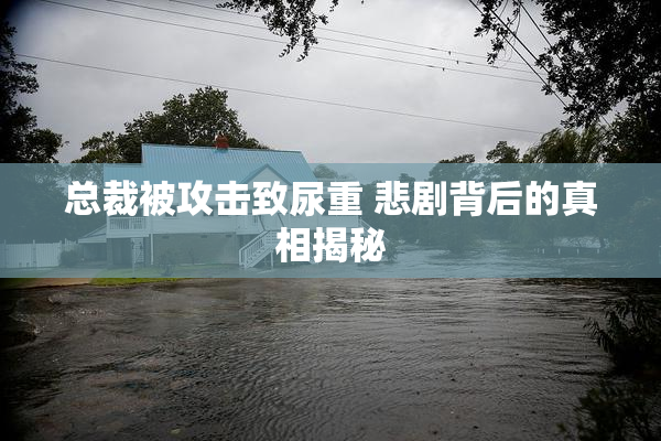 总裁被攻击致尿重 悲剧背后的真相揭秘