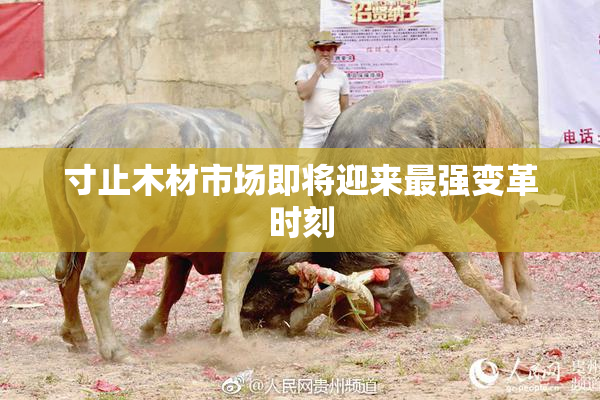 寸止木材市场即将迎来最强变革时刻