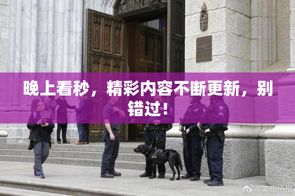 晚上看秒，精彩内容不断更新，别错过！