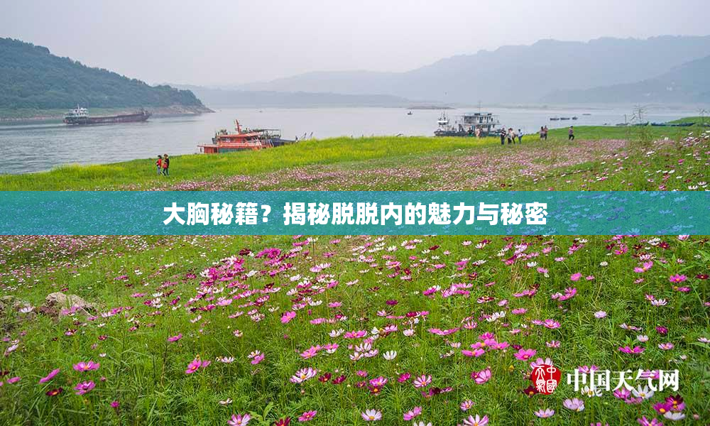 大胸秘籍？揭秘脱脱内的魅力与秘密