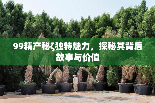 99精产秘ζ独特魅力，探秘其背后故事与价值