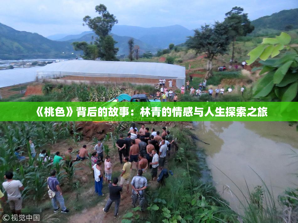 《桃色》背后的故事：林青的情感与人生探索之旅