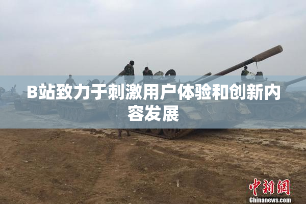 B站致力于刺激用户体验和创新内容发展