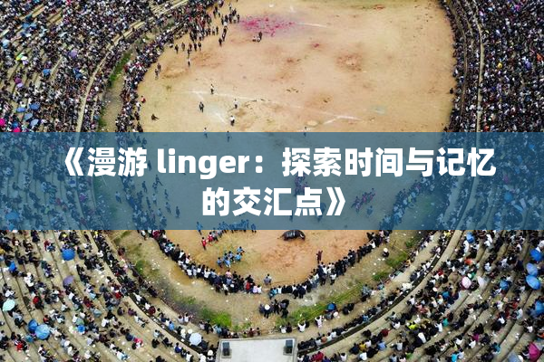 《漫游 linger：探索时间与记忆的交汇点》