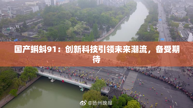 国产蝌蚪91：创新科技引领未来潮流，备受期待