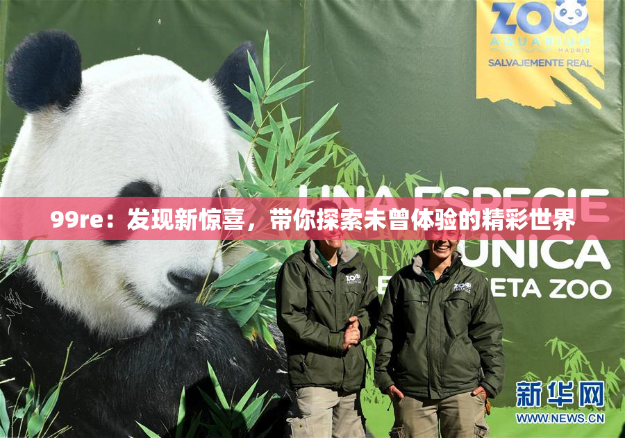 99re：发现新惊喜，带你探索未曾体验的精彩世界