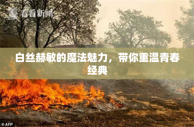 白丝赫敏的魔法魅力，带你重温青春经典