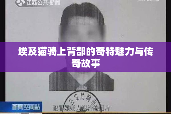 埃及猫骑上背部的奇特魅力与传奇故事