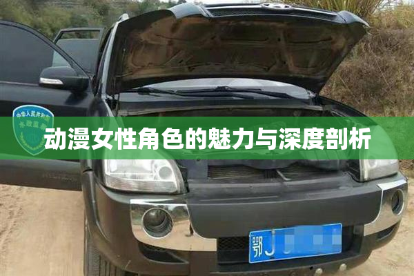 动漫女性角色的魅力与深度剖析