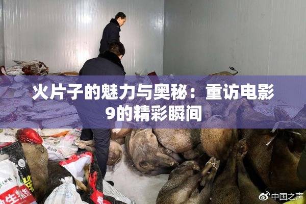 火片子的魅力与奥秘：重访电影9的精彩瞬间