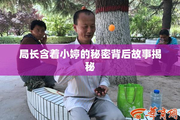 局长含着小婷的秘密背后故事揭秘