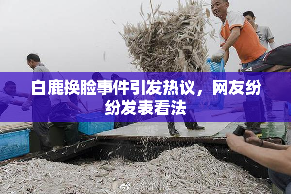 白鹿换脸事件引发热议，网友纷纷发表看法