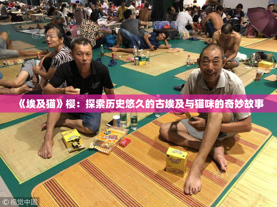 《埃及猫》樱：探索历史悠久的古埃及与猫咪的奇妙故事
