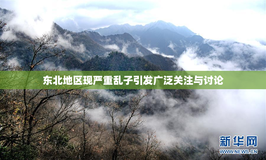 东北地区现严重乱子引发广泛关注与讨论