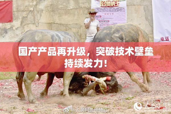 国产产品再升级，突破技术壁垒持续发力！