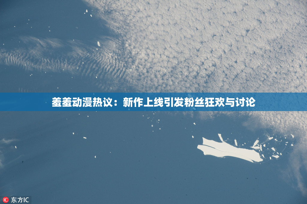 羞羞动漫热议：新作上线引发粉丝狂欢与讨论
