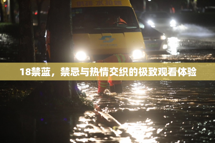 18禁蓝，禁忌与热情交织的极致观看体验