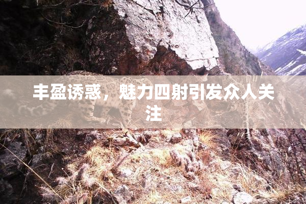 丰盈诱惑，魅力四射引发众人关注