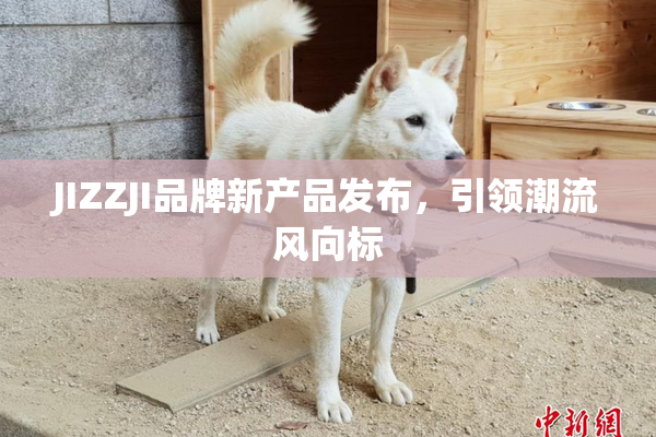 JIZZJI品牌新产品发布，引领潮流风向标