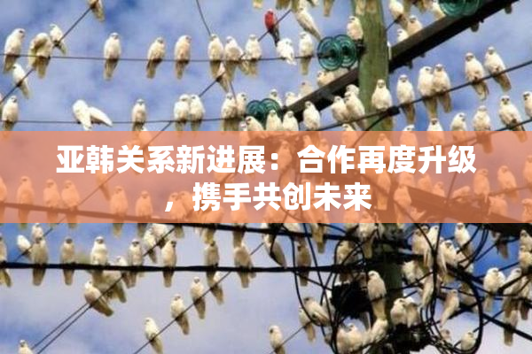 亚韩关系新进展：合作再度升级，携手共创未来