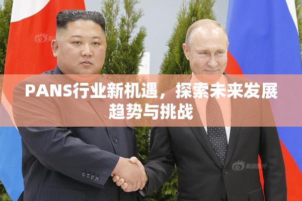 PANS行业新机遇，探索未来发展趋势与挑战