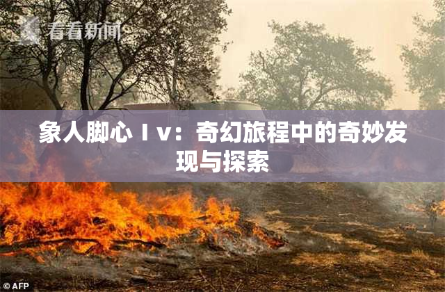 象人脚心Ⅰv：奇幻旅程中的奇妙发现与探索