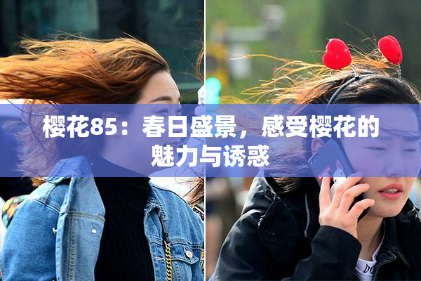 樱花85：春日盛景，感受樱花的魅力与诱惑