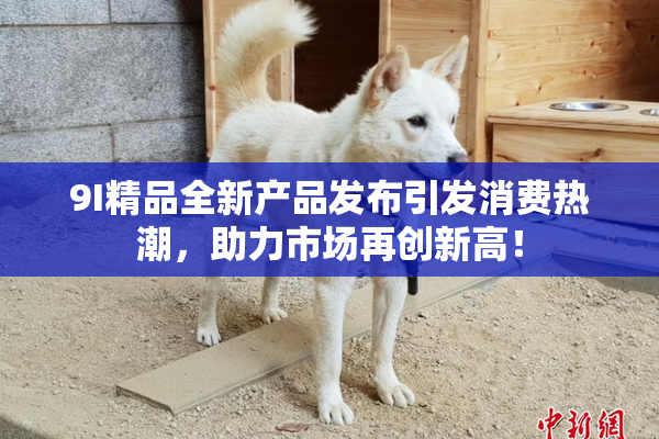 9I精品全新产品发布引发消费热潮，助力市场再创新高！