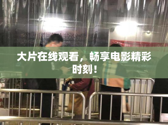 大片在线观看，畅享电影精彩时刻！