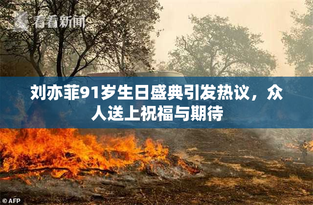 刘亦菲91岁生日盛典引发热议，众人送上祝福与期待