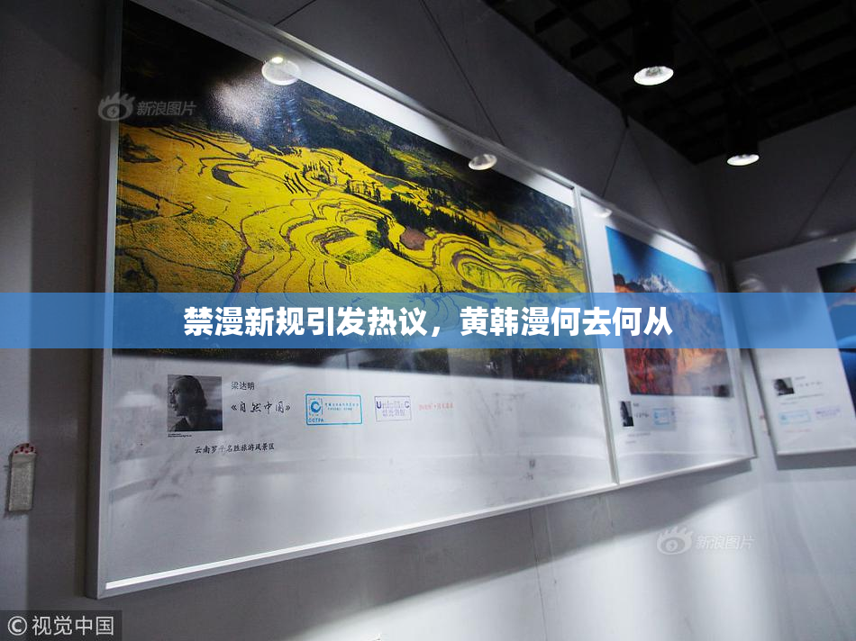 禁漫新规引发热议，黄韩漫何去何从