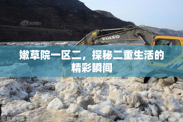嫩草院一区二，探秘二重生活的精彩瞬间