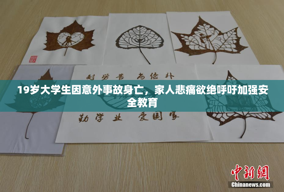 19岁大学生因意外事故身亡，家人悲痛欲绝呼吁加强安全教育