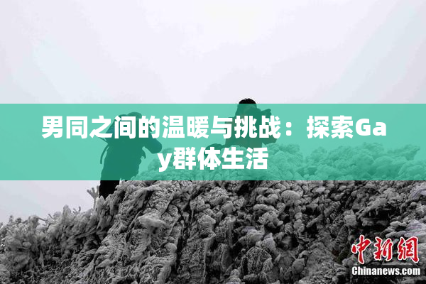 男同之间的温暖与挑战：探索Gay群体生活