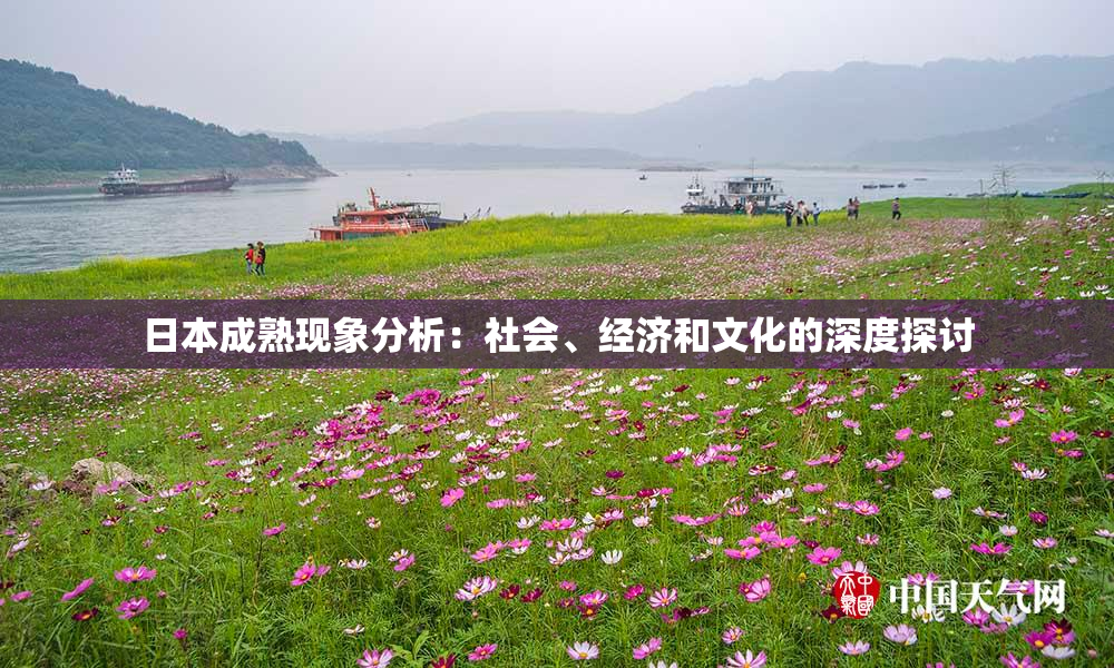 日本成熟现象分析：社会、经济和文化的深度探讨