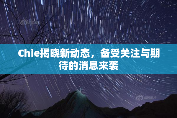 Chie揭晓新动态，备受关注与期待的消息来袭