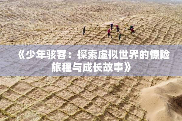 《少年骇客：探索虚拟世界的惊险旅程与成长故事》