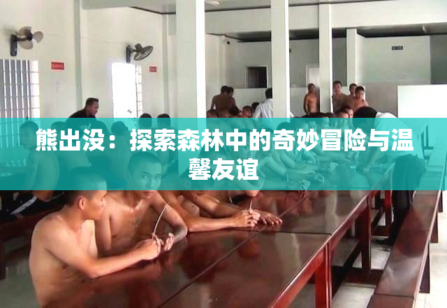 熊出没：探索森林中的奇妙冒险与温馨友谊